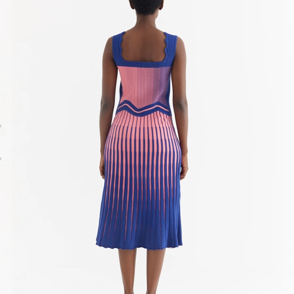 PH5 Parlor Color Blocked Wavy Tank Dress - Picture 6 of 8